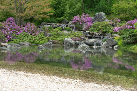 倒映在池塘中的日本花園