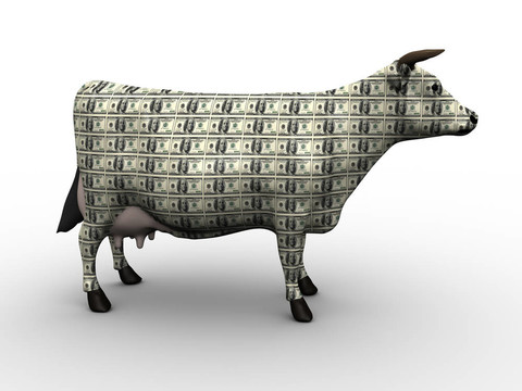 現(xiàn)金牛