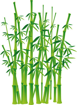 竹樹(shù)