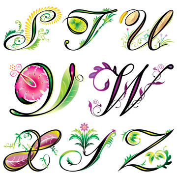 字母元素S-Z