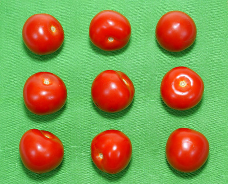 西紅柿