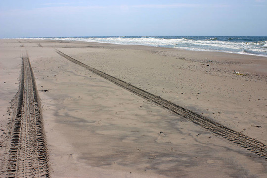 輪跡