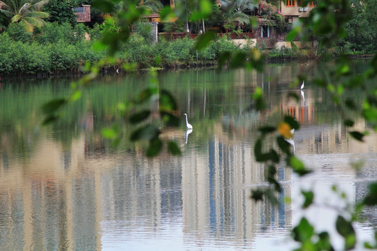 三亞白鷺公園