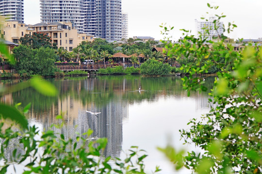三亞白鷺公園
