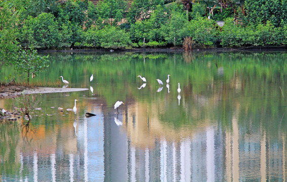 白鷺公園