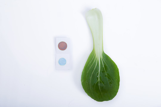 蔬菜農(nóng)殘快速檢測
