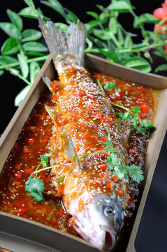 蜜香魚