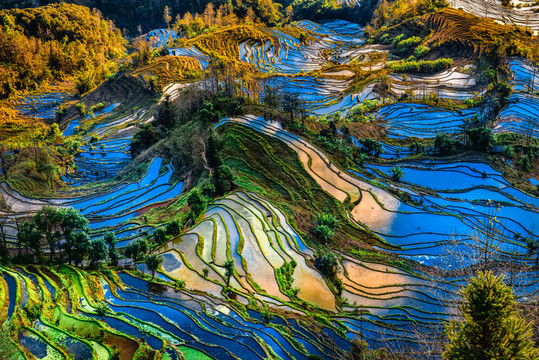 云南元陽(yáng)老虎嘴梯田