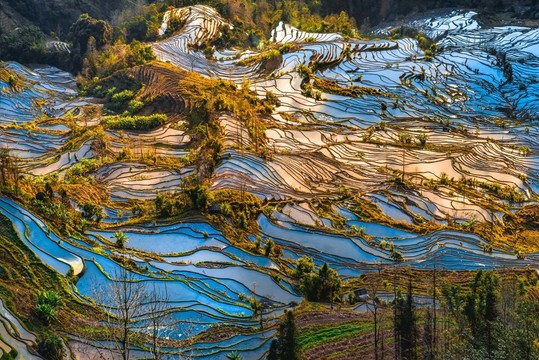 云南元陽(yáng)老虎嘴梯田