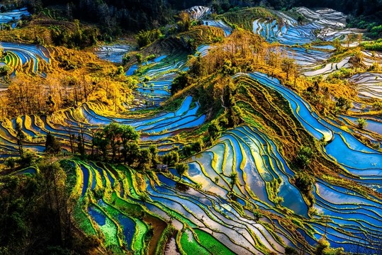 云南元陽(yáng)老虎嘴梯田