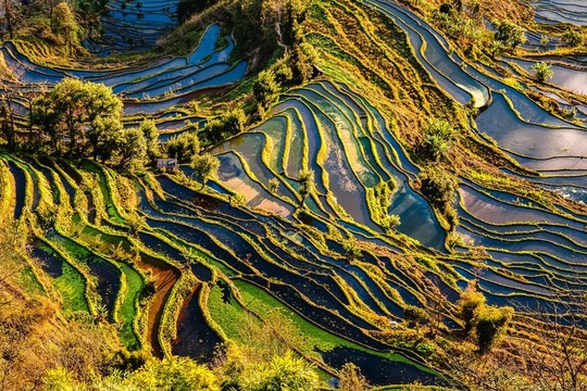 云南元陽(yáng)老虎嘴梯田