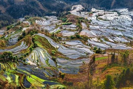 云南元陽老虎嘴梯田