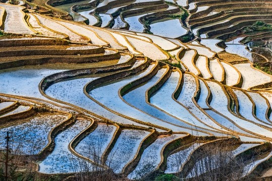 云南元陽(yáng)箐口梯田