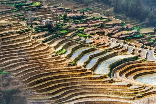 云南元陽(yáng)箐口梯田
