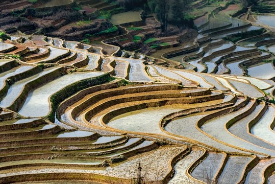云南元陽(yáng)箐口梯田