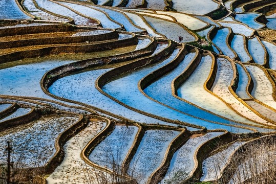 云南元陽箐口梯田
