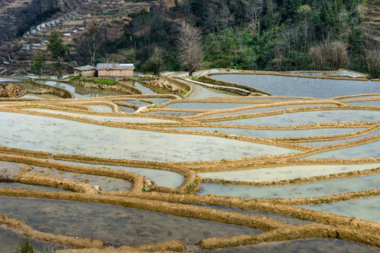 云南元陽箐口梯田