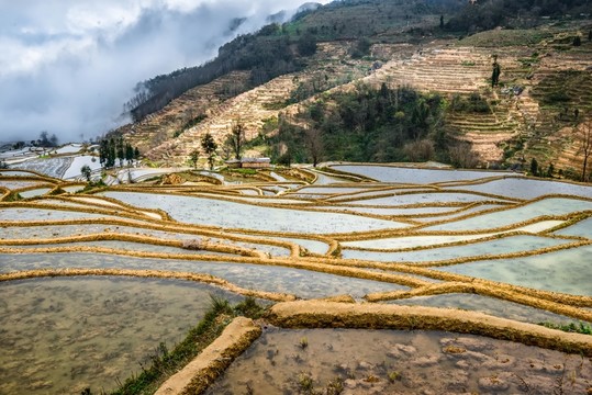 云南元陽箐口梯田