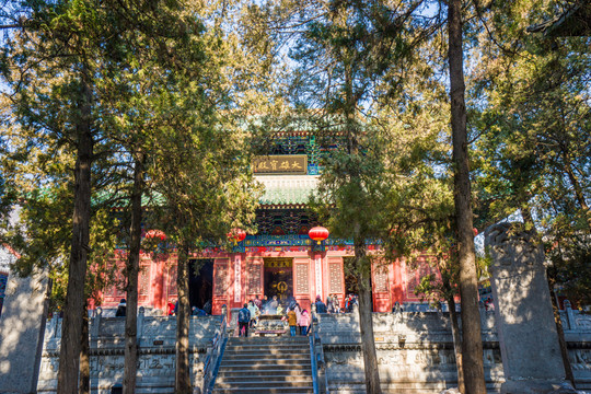 少林寺大雄寶殿