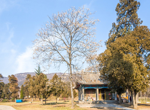 少林寺風(fēng)光