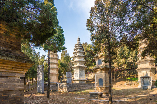 少林寺塔林