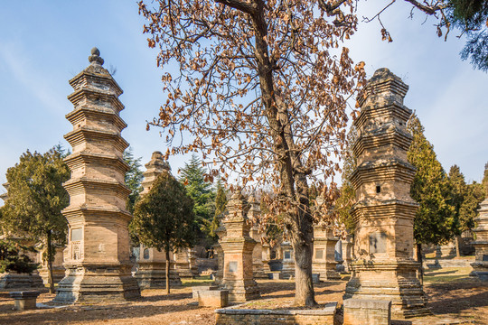 少林寺塔林