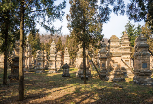 少林寺塔林