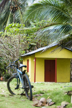 出租小屋的房間叢林尼加拉瓜
