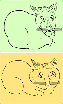 兩只貓