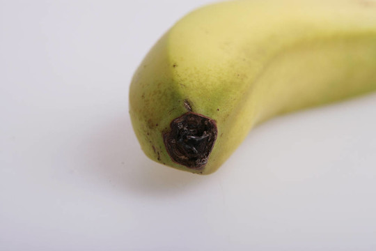 香蕉；早餐；關(guān)閉；