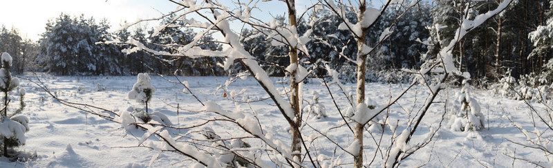 在陽光明媚的一天，大雪分。