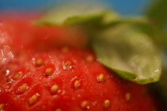 Strawberry特寫