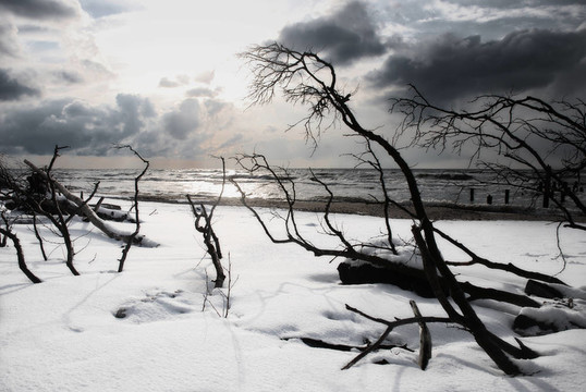 沙灘上的雪
