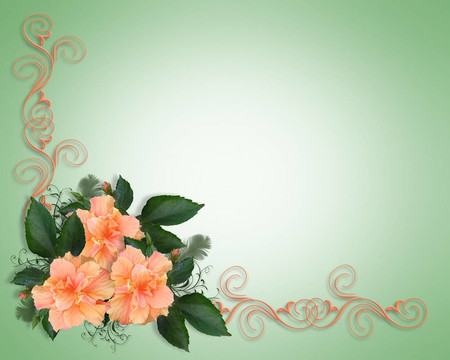 婚禮或聚會的邀請hibiscu
