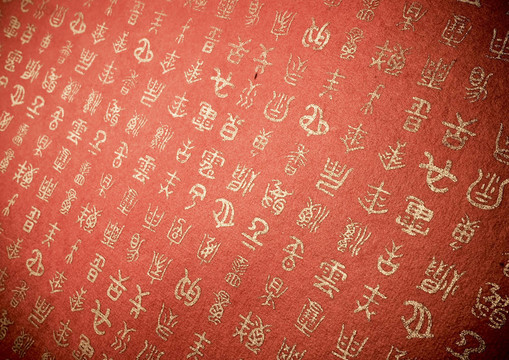 文本