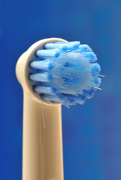 電Toothbrush Head