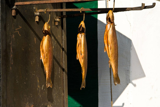 腌熏三文魚鱒魚