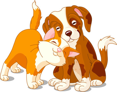 cat_and_dog