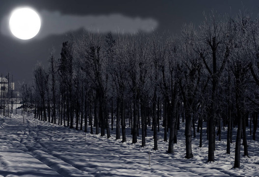 大雪紛飛的夜晚