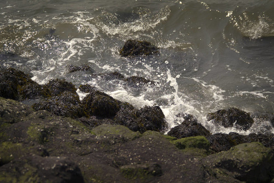 Beeld voor X射線Hoek van Holland