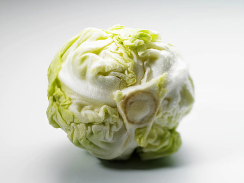 水滴白菜