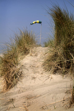 Beeld voor X射線Hoek van Holland