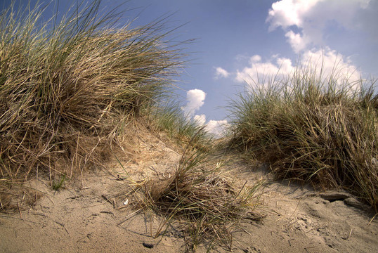 Beeld voor X射線Hoek van Holland
