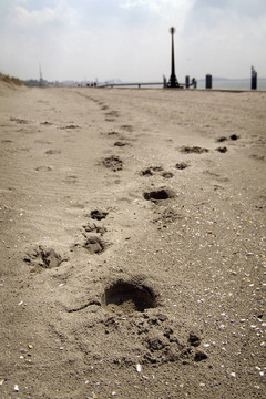 Beeld voor X射線Hoek van Holland