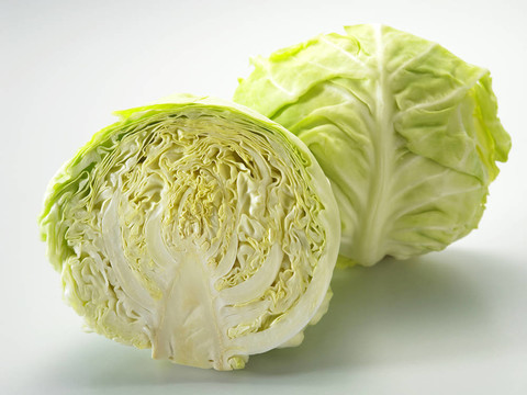 鏡頭的白菜