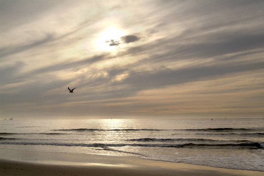 Beeld voor X射線Hoek van Holland