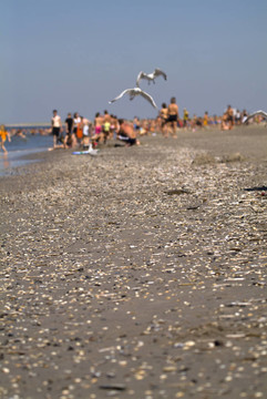 Beeld voor X射線Hoek van Holland