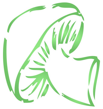 蘑菇的插圖