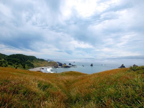 俯瞰海洋的草地山坡