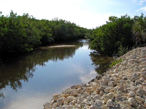 景觀Wildlife Refuge